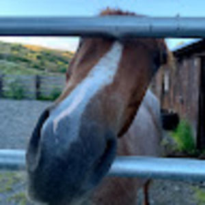 Meet your Posher, Wendy